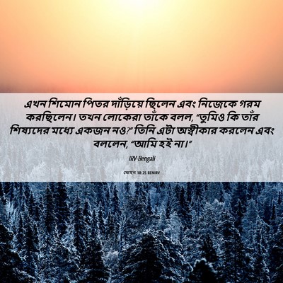 Picture 06 - যোহন 18:25 BENIRV - এখন শিমোন পিতর - Bible Verse Picture