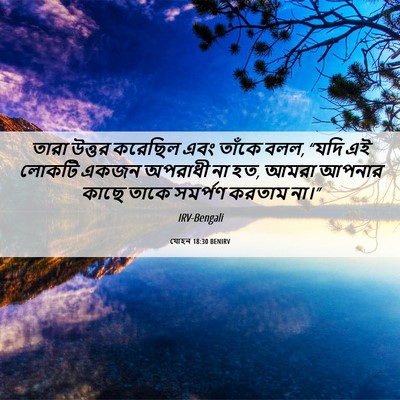 Picture 06 - যোহন 18:30 BENIRV - তারা উত্তর করেছিল - Bible Verse Picture