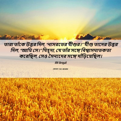 Picture 06 - যোহন 18:5 BENIRV - তারা তাঁকে উত্তর - Bible Verse Picture