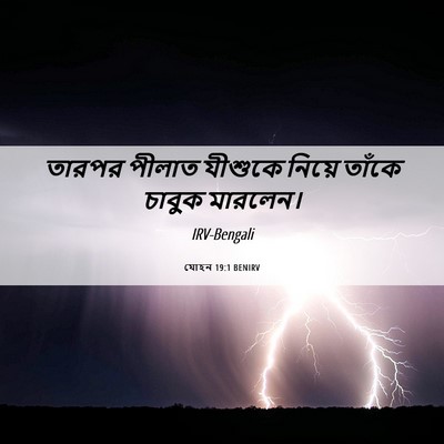 Picture 06 - যোহন 19:1 BENIRV - তারপর পীলাত - Bible Verse Picture