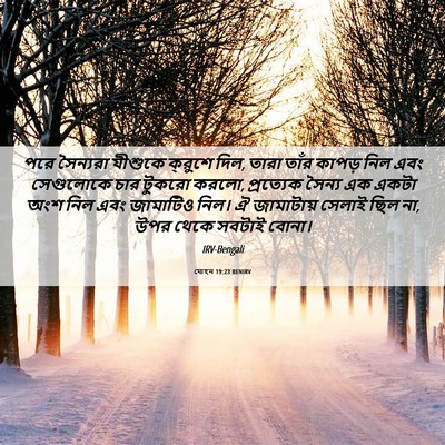 Picture 06 - যোহন 19:23 BENIRV - পরে সৈন্যরা - Bible Verse Picture