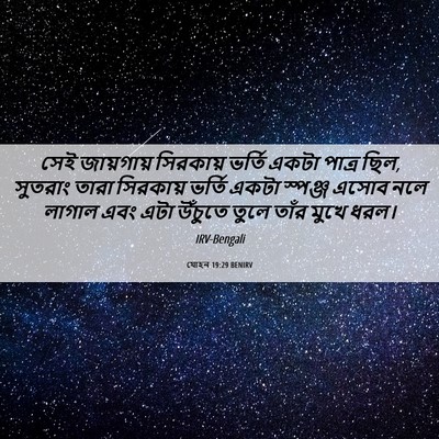 Picture 06 - যোহন 19:29 BENIRV - সেই জায়গায় - Bible Verse Picture