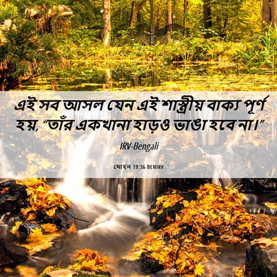 Picture 06 - যোহন 19:36 BENIRV - এই সব আসল যেন এই - Bible Verse Picture