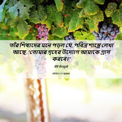 Picture 06 - যোহন 2:17 BENIRV - তাঁর শিষ্যদের মনে - Bible Verse Picture