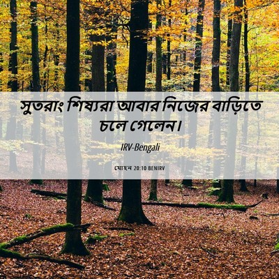 Picture 06 - যোহন 20:10 BENIRV - সুতরাং শিষ্যরা - Bible Verse Picture