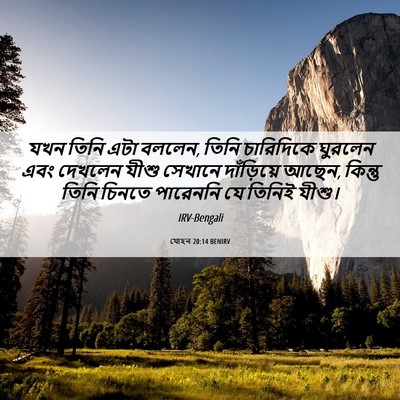Picture 06 - যোহন 20:14 BENIRV - যখন তিনি এটা বললেন, - Bible Verse Picture