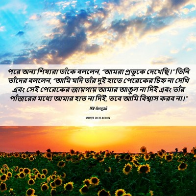 Picture 06 - যোহন 20:25 BENIRV - পরে অন্য শিষ্যরা - Bible Verse Picture