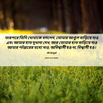 Picture 06 - যোহন 20:27 BENIRV - তারপরে তিনি - Bible Verse Picture