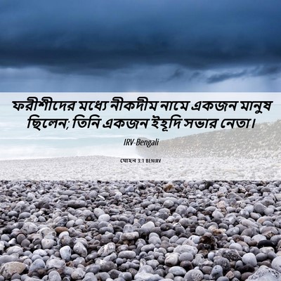 Picture 06 - যোহন 3:1 BENIRV - ফরীশীদের মধ্যে - Bible Verse Picture