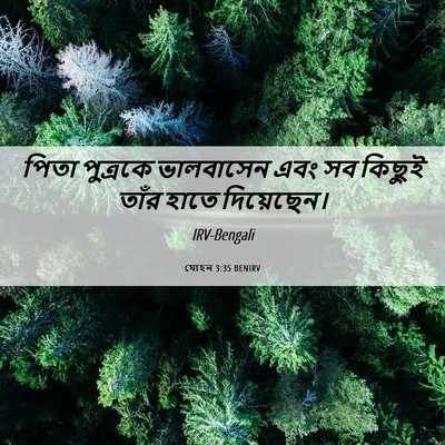 Picture 06 - যোহন 3:35 BENIRV - পিতা পুত্রকে - Bible Verse Picture
