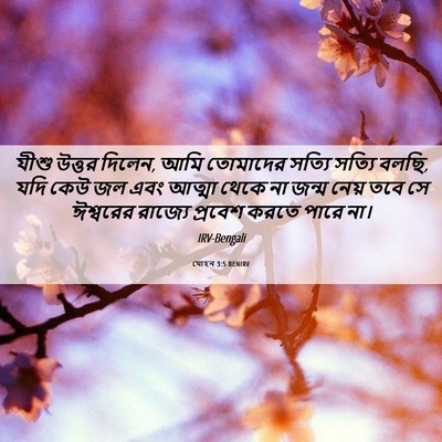 Picture 06 - যোহন 3:5 BENIRV - যীশু উত্তর দিলেন, - Bible Verse Picture