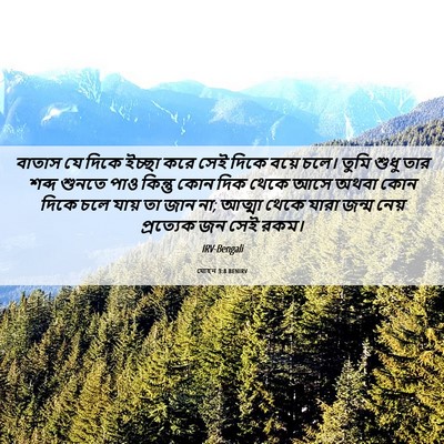 Picture 06 - যোহন 3:8 BENIRV - বাতাস যে দিকে - Bible Verse Picture