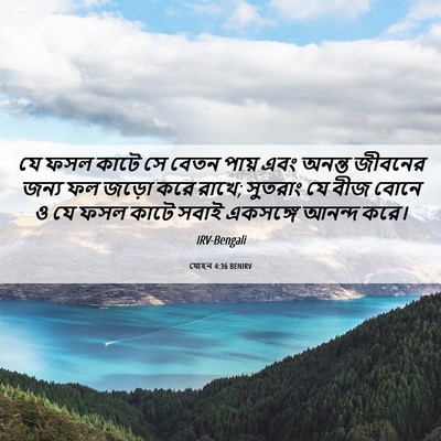 Picture 06 - যোহন 4:36 BENIRV - যে ফসল কাটে সে বেতন - Bible Verse Picture