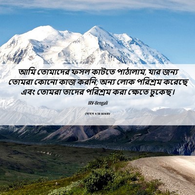 Picture 06 - যোহন 4:38 BENIRV - আমি তোমাদের ফসল - Bible Verse Picture