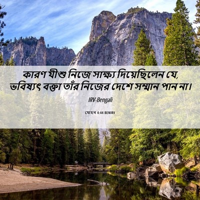 Picture 06 - যোহন 4:44 BENIRV - কারণ যীশু নিজে - Bible Verse Picture