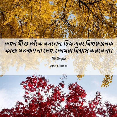 Picture 06 - যোহন 4:48 BENIRV - তখন যীশু তাঁকে - Bible Verse Picture