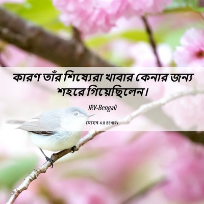 Picture 06 - যোহন 4:8 BENIRV - কারণ তাঁর - Bible Verse Picture
