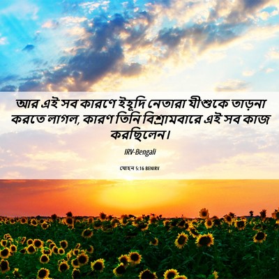 Picture 06 - যোহন 5:16 BENIRV - আর এই সব কারণে - Bible Verse Picture