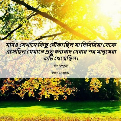 Picture 06 - যোহন 6:23 BENIRV - যদিও সেখানে কিছু - Bible Verse Picture