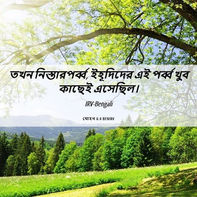 Picture 06 - যোহন 6:4 BENIRV - তখন - Bible Verse Picture
