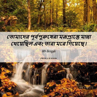 Picture 06 - যোহন 6:49 BENIRV - তোমাদের - Bible Verse Picture