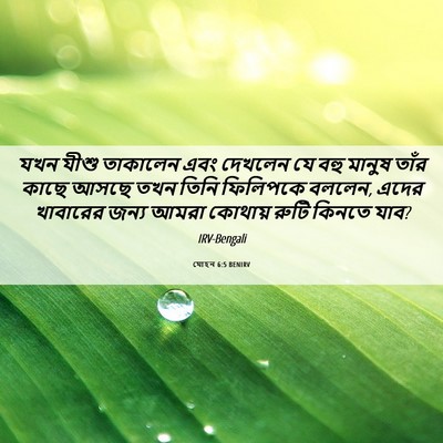 Picture 06 - যোহন 6:5 BENIRV - যখন যীশু তাকালেন - Bible Verse Picture