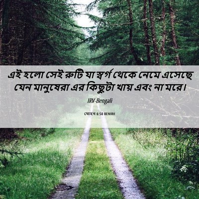 Picture 06 - যোহন 6:50 BENIRV - এই হলো সেই রুটি যা - Bible Verse Picture