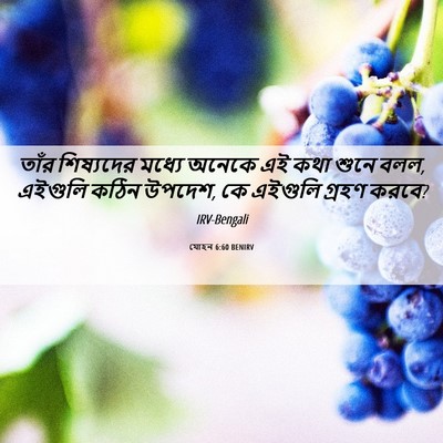 Picture 06 - যোহন 6:60 BENIRV - তাঁর শিষ্যদের - Bible Verse Picture