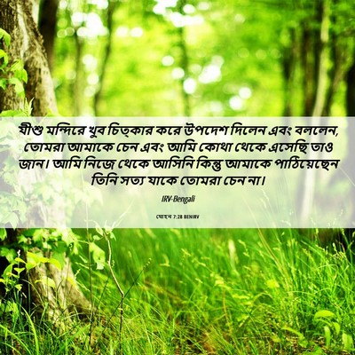 Picture 06 - যোহন 7:28 BENIRV - যীশু মন্দিরে খুব - Bible Verse Picture
