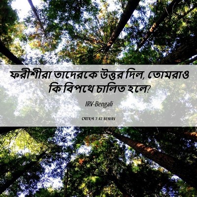 Picture 06 - যোহন 7:47 BENIRV - ফরীশীরা তাদেরকে - Bible Verse Picture