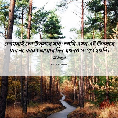 Picture 06 - যোহন 7:8 BENIRV - তোমরাই তো উত্সবে - Bible Verse Picture