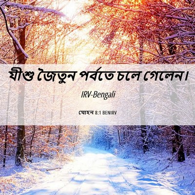 Picture 06 - যোহন 8:1 BENIRV - যীশু জৈতুন পর্বতে - Bible Verse Picture