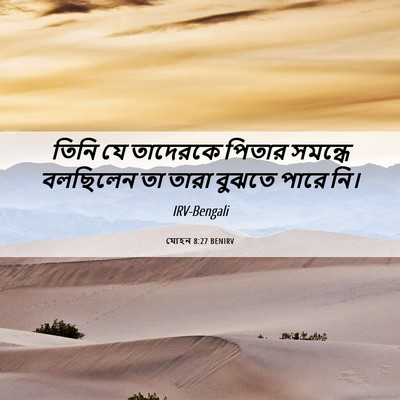 Picture 06 - যোহন 8:27 BENIRV - তিনি যে তাদেরকে - Bible Verse Picture