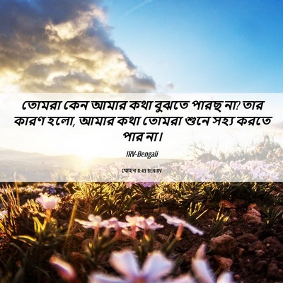 Picture 06 - যোহন 8:43 BENIRV - তোমরা কেন আমার কথা - Bible Verse Picture