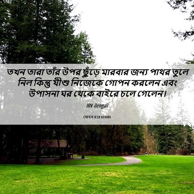 Picture 06 - যোহন 8:59 BENIRV - তখন তারা তাঁর উপর - Bible Verse Picture