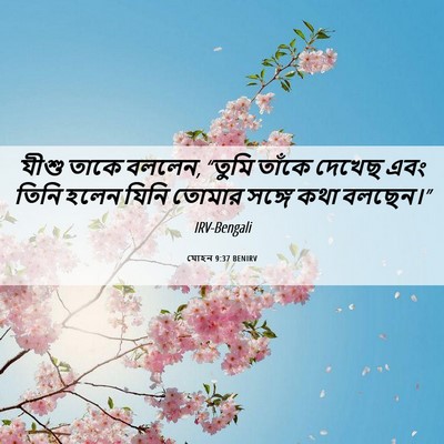 Picture 06 - যোহন 9:37 BENIRV - যীশু তাকে বললেন, - Bible Verse Picture