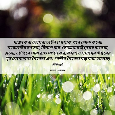 Picture 06 - যোৱেল 1:13 BENIRV - যাজকেরা তোমরা - Bible Verse Picture