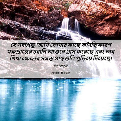 Picture 06 - যোৱেল 1:19 BENIRV - হে সদাপ্রভু, আমি - Bible Verse Picture