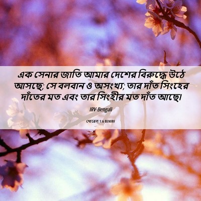 Picture 06 - যোৱেল 1:6 BENIRV - এক সেনার জাতি আমার - Bible Verse Picture