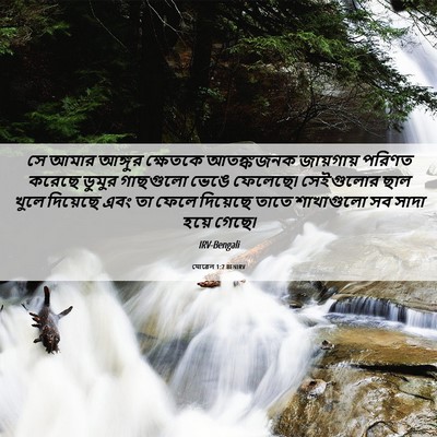 Picture 06 - যোৱেল 1:7 BENIRV - সে আমার আঙ্গুর - Bible Verse Picture