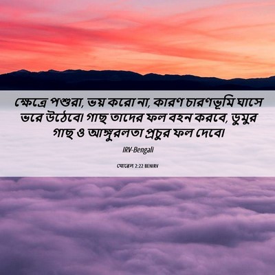 Picture 06 - যোৱেল 2:22 BENIRV - ক্ষেত্রে পশুরা, - Bible Verse Picture