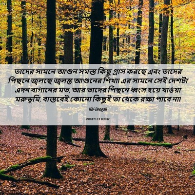 Picture 06 - যোৱেল 2:3 BENIRV - তাদের সামনে আগুন - Bible Verse Picture