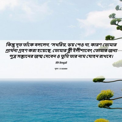 Picture 06 - লূক 1:13 BENIRV - কিন্তু দূত তাঁকে - Bible Verse Picture