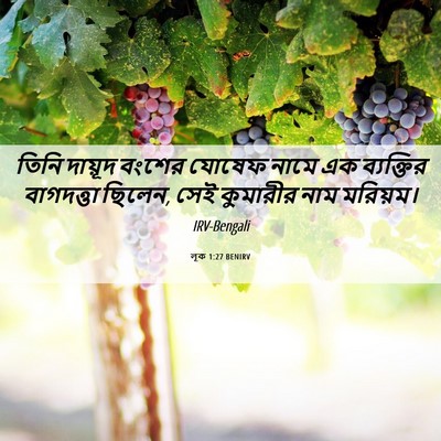 Picture 06 - লূক 1:27 BENIRV - তিনি দায়ূদ বংশের - Bible Verse Picture