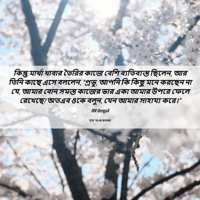 Picture 06 - লূক 10:40 BENIRV - কিন্তু মার্থা - Bible Verse Picture