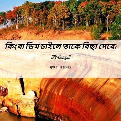 Picture 06 - লূক 11:12 BENIRV - কিংবা ডিম চাইলে - Bible Verse Picture