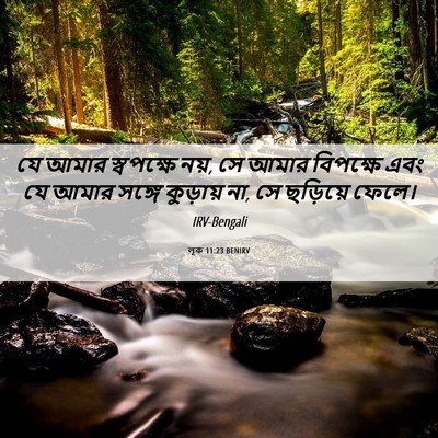 Picture 06 - লূক 11:23 BENIRV - যে আমার স্বপক্ষে - Bible Verse Picture