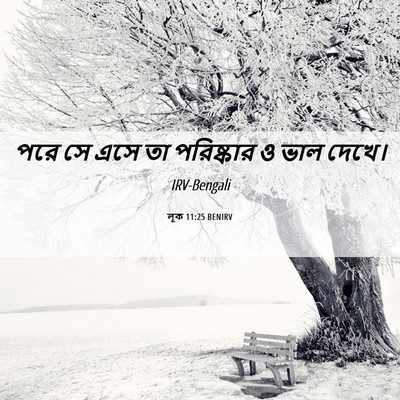 Picture 06 - লূক 11:25 BENIRV - পরে সে এসে তা - Bible Verse Picture