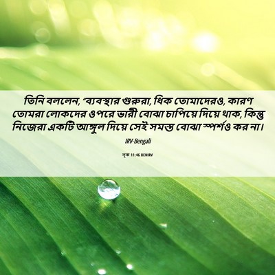 Picture 06 - লূক 11:46 BENIRV - তিনি বললেন, - Bible Verse Picture
