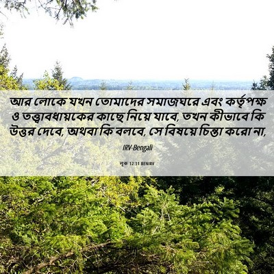 Picture 06 - লূক 12:11 BENIRV - আর লোকে যখন - Bible Verse Picture